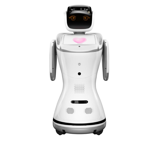 Q10S dual screen robot